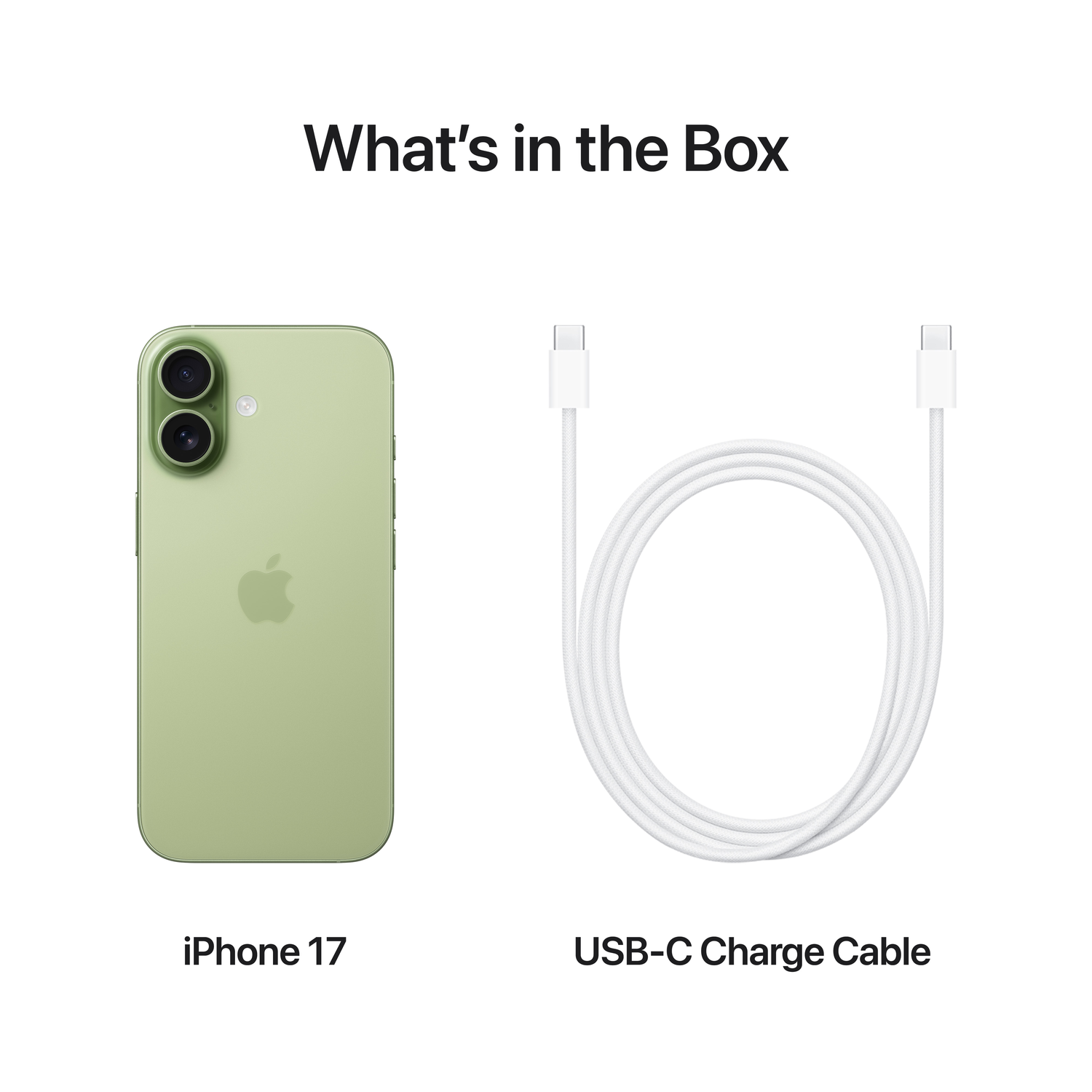 Een groene iPhone 17 en een witte USB-C-oplaadkabel op een witte achtergrond. De tekst 'What's in the Box' staat erboven.